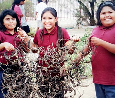 Three happy students holding a project 
